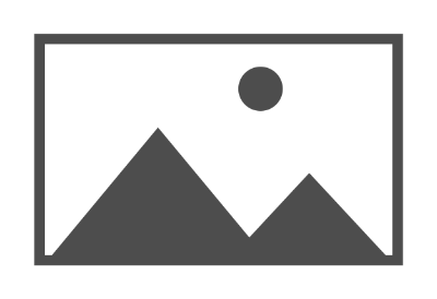 Apex Seamless High Rise Leggings